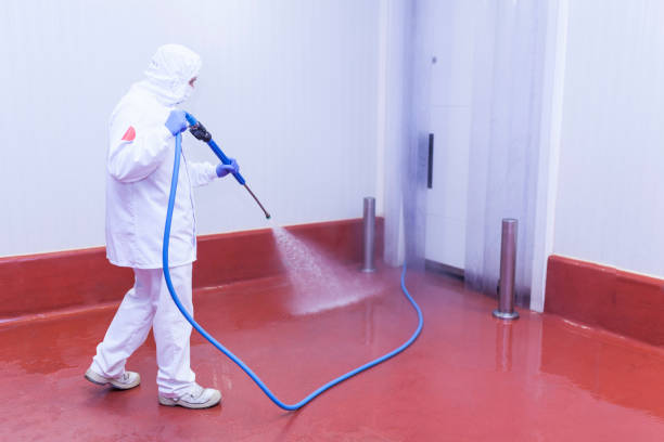 Best Building Exterior Washing  in Timberville, VA