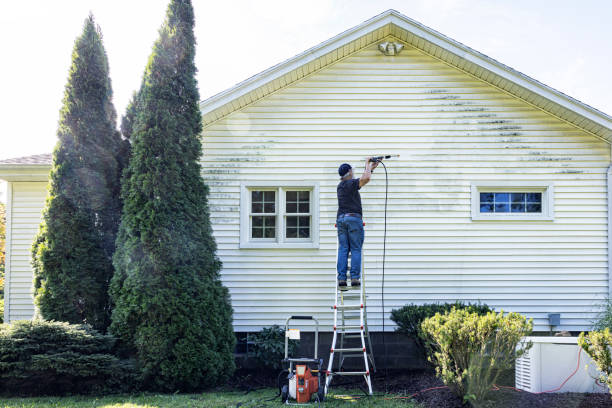 Timberville, VA Pressure Washing Services Company